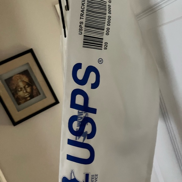Forever 21 x USPS Transparent Hoodie - Picture 4 of 6